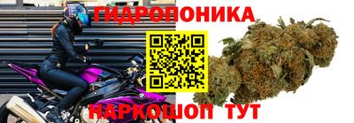 стаф Будённовск