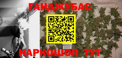 стаф Будённовск