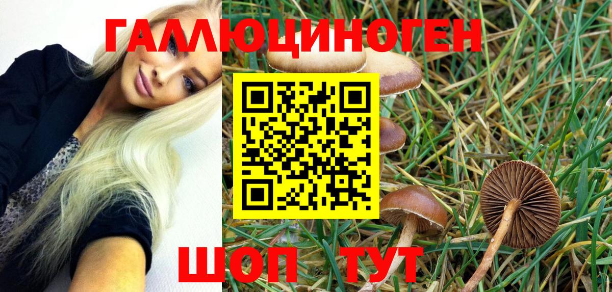 Псилоцибиновые грибы мицелий Сальск