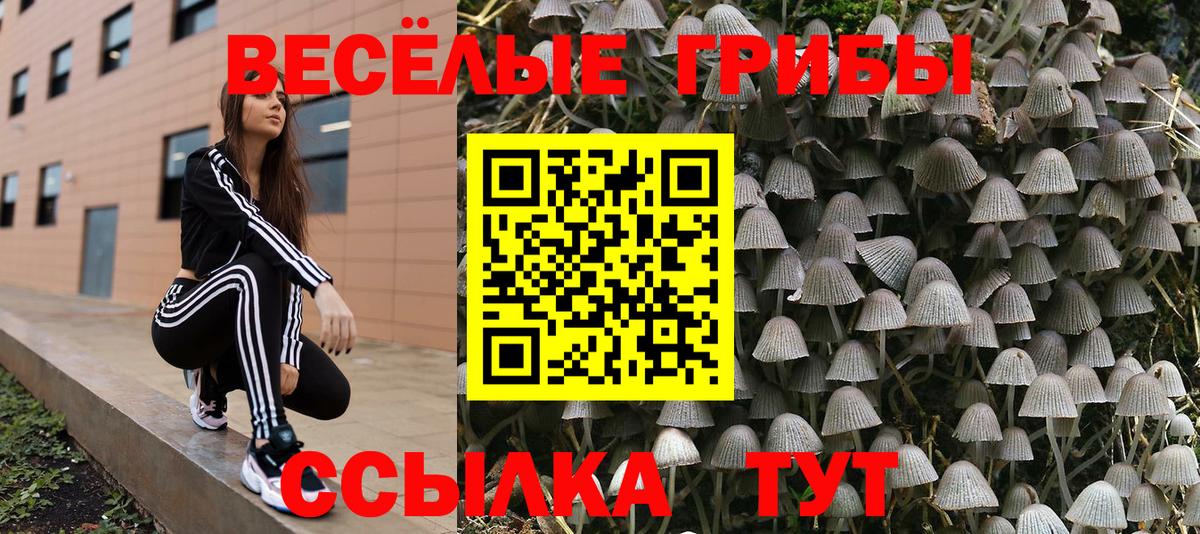 Псилоцибиновые грибы ЛСД  Галлюциногенные грибы GOLDEN TEACHER  Вход с VPN  Сальск 