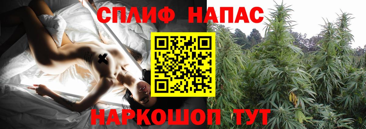 Конопля планчик  Вход с VPN  Шишки марихуана конопля  Бошки марихуана AK-47  Сальск  Конопля Bruce Banner 